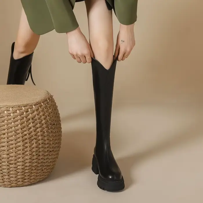 Bottes hautes pour femmes automne hiver nouveau Style fond épais Tube haut fermeture éclair dos bott