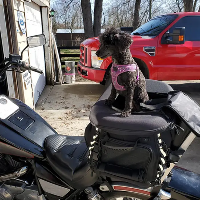 Sac de support d'équitation pour moto, étui pour chien, étui pour animal de compagnie, accessoires p