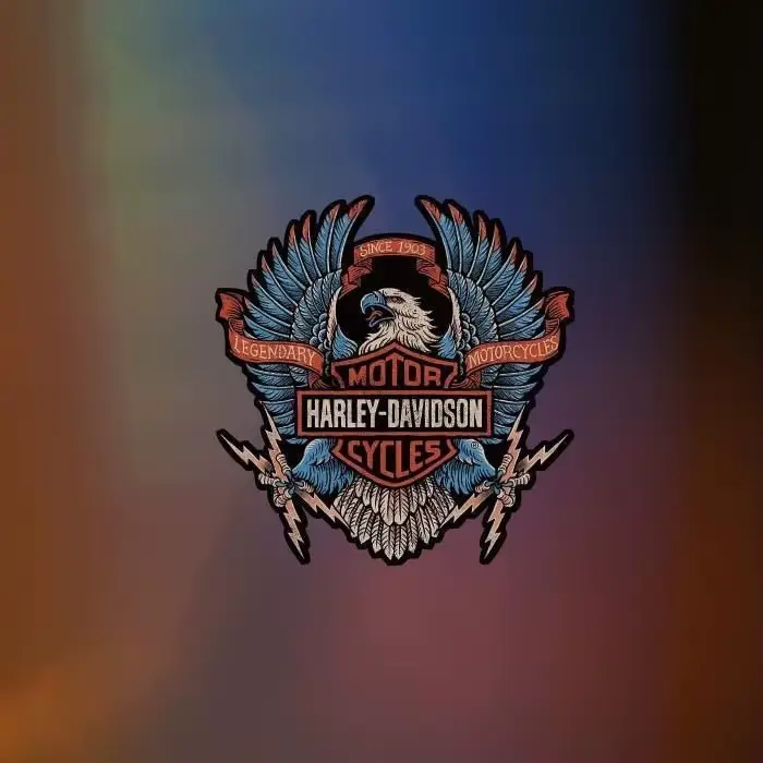 Autocollants personnalisés imperméables pour casque de moto rétro, pour Harley Davidson Pan America 